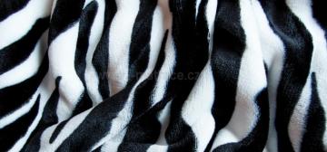 Mikroflanelov povleen Zebra - detail