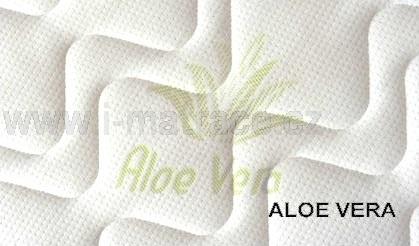 Aloe Vera silver