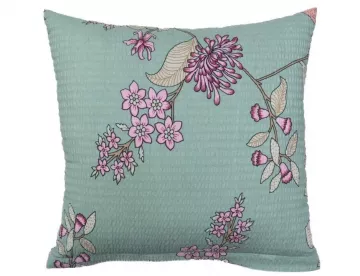 krepov� povle�en� Klaudie