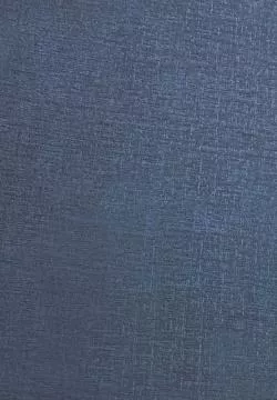 369